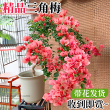 ��������÷����������������ֲ������҃ȾG���̨ͥԺ���ܾGֲ