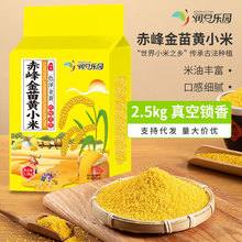 �SС��5����ɹų������׏S�����l����s�Z�����S�׮����¼Z