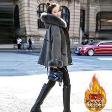 2025�ļ��¿��n��С���Ӽӽq�ļ����b�OӋ��ë�I�޷�����Ů�����]