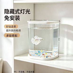 ����ϵ�¿��͸�����BС�����愓�⶷�~�~���߲ʾW�t�쾰�b����b