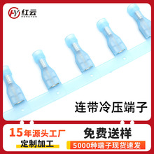 �S�ҹ���6.3�����o�׽^��ĸ�����250����FDFNֱ���B�m�䉺����