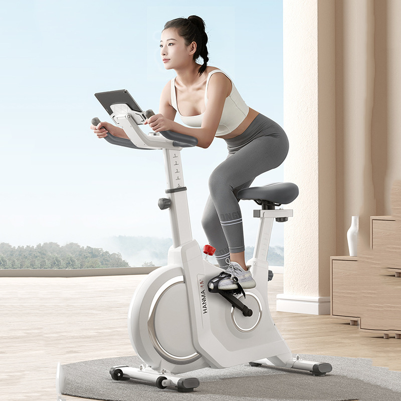 Yan value household magnetic control intelligent spinning indoor exercise bike room equipment weight loss ultra-quiet sports bike