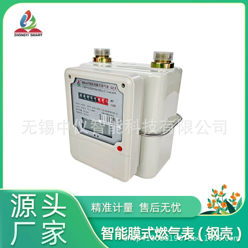 Умный счетчик природного газа G1.6 в стальном корпусе для бытового использования, предоплатный газовый счетчик с удаленной передачей данных RS485.