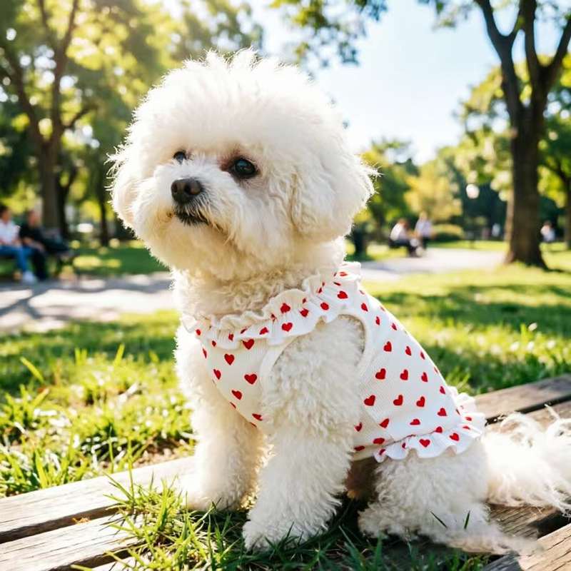 Primavera y verano transfronterizos nuevos bordes de hongo falda de flores de cinturón ropa de perro y gato delgada ropa de perros transpirables mascotas