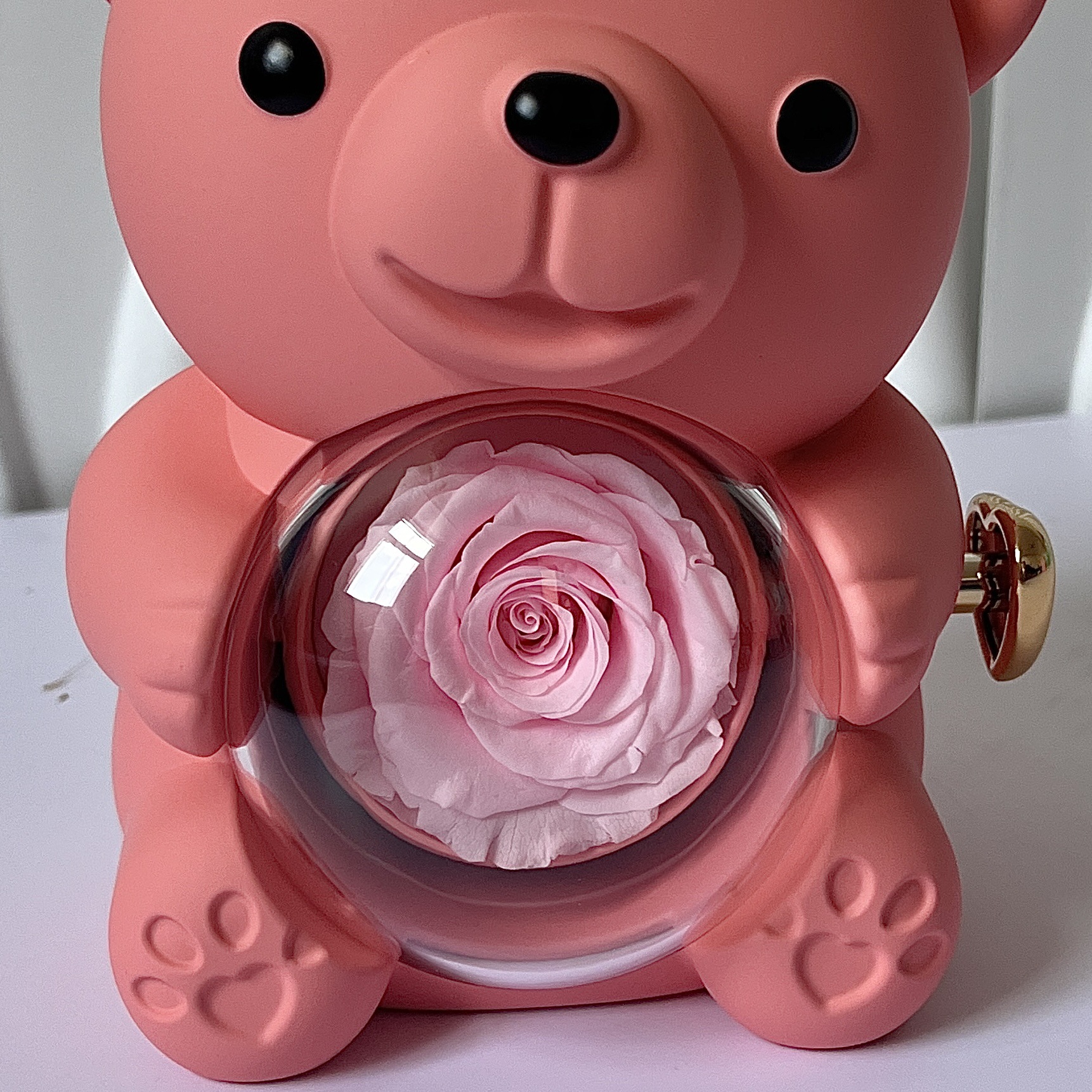 Embrace oso eterno flores rosas regalos de cumpleaños eternos flores cubiertas de vidrio regalos del día de la madre Amazon transfronterizo