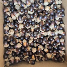 20������ĭ������ɫ����}�Q��Ʒ����S��