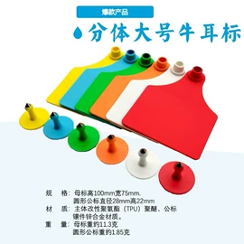 车门;车身及附件;叶子板