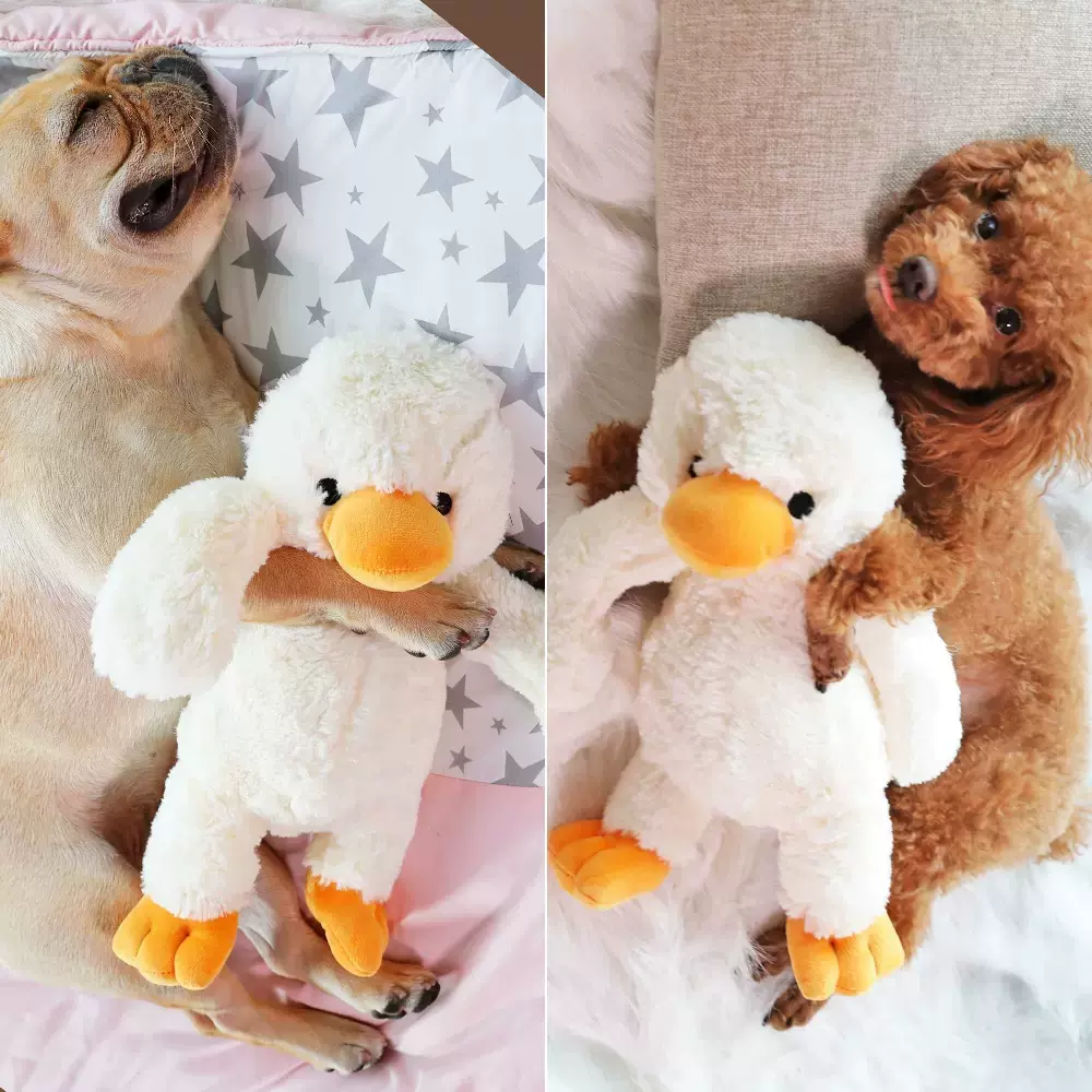 陪睡狗狗泰迪柯基幼犬毛绒鸭子宠物玩具发声耐咬磨牙解闷小狗用品