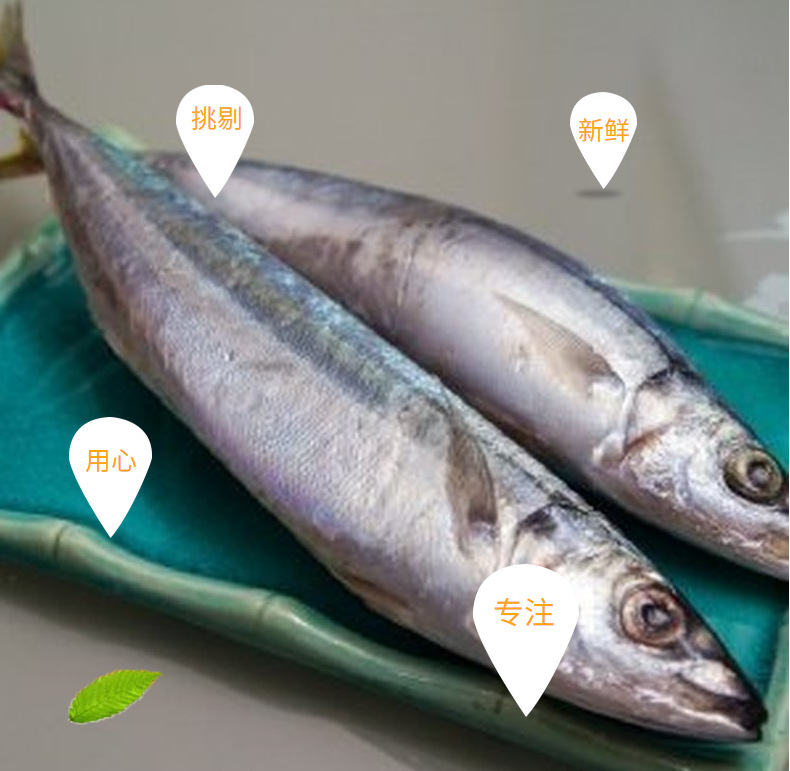 批发冷冻四破鱼 竹荚鱼 竹叶巴浪鱼 市场销售-阿里巴巴