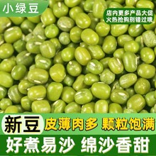 新绿豆农家自产小绿豆绿豆糕绿豆饼材料东北新绿豆五谷杂粮