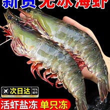 ���r�r���ك������r���ش����r���r������u�}�����r���r���rˮ�a