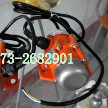 供应42W微型两相220V铝合金振动马达