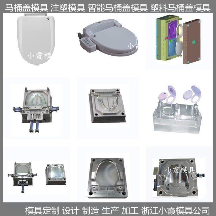 马桶盖模具 (28)