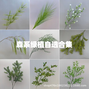 ����Gֲ���T����횲�ɭϵ��Y���ù��T�쾰��׾Gֲ�����J����
