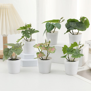Miniature White Bucket Plant Artificial Potted Indoor Desktop Decoration Trendy Hot-Selling Photography Prop Potted Green Plant