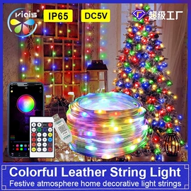 LED灯带;LED灯控制器;LED装饰灯