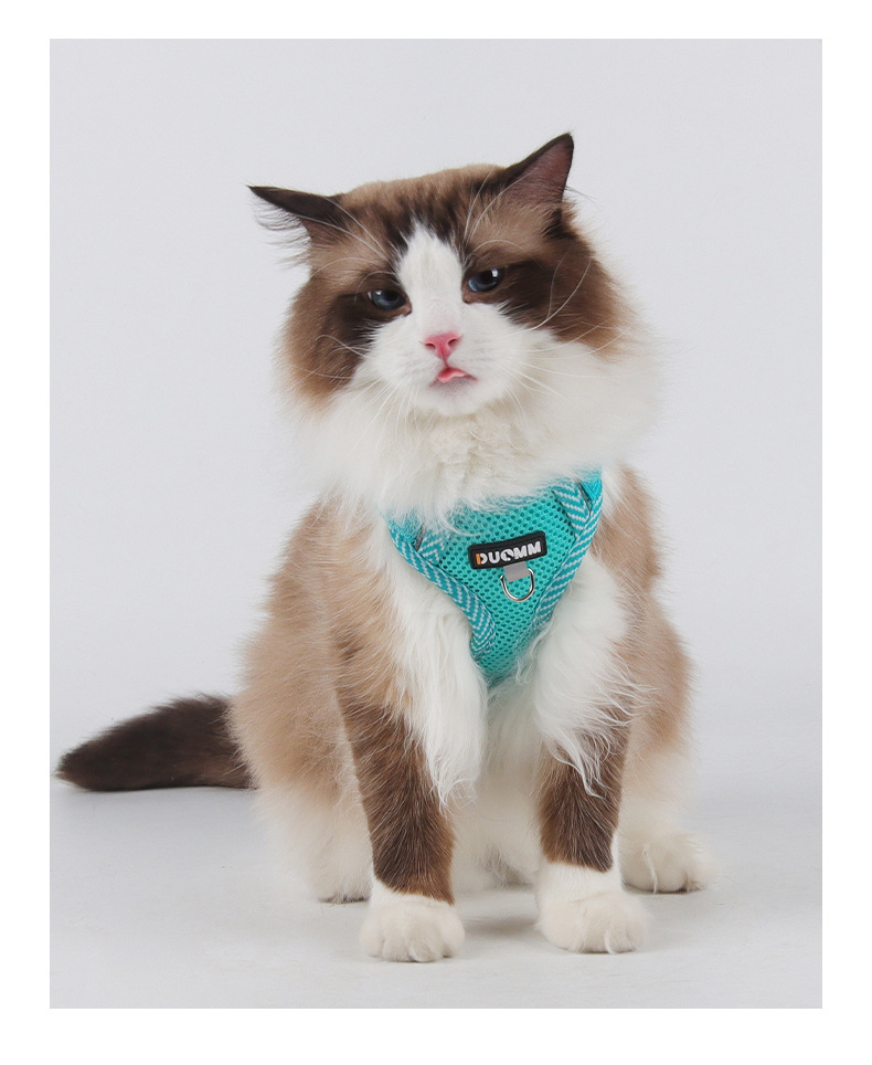 Pet Harness And Leash Set For Cats And Dogs Lightweight Vest_voghion.com
