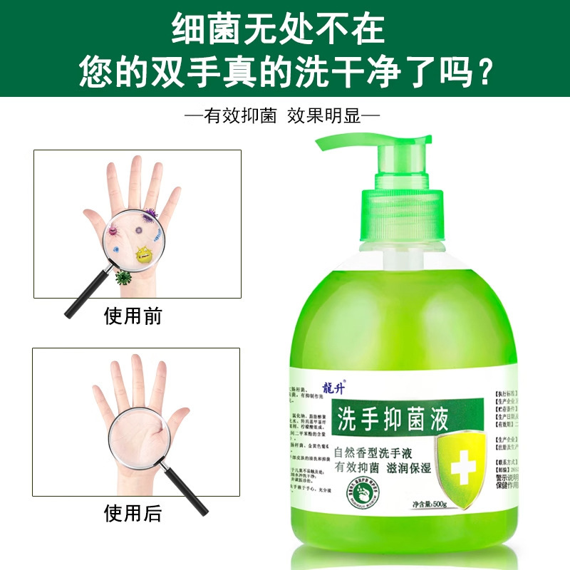 【10本入りフルボックス】Longsheng 抗菌手指消毒剤 500g フレグランス アロエベラ 抗菌 家庭用 手をきれいにし、保湿します|undefined