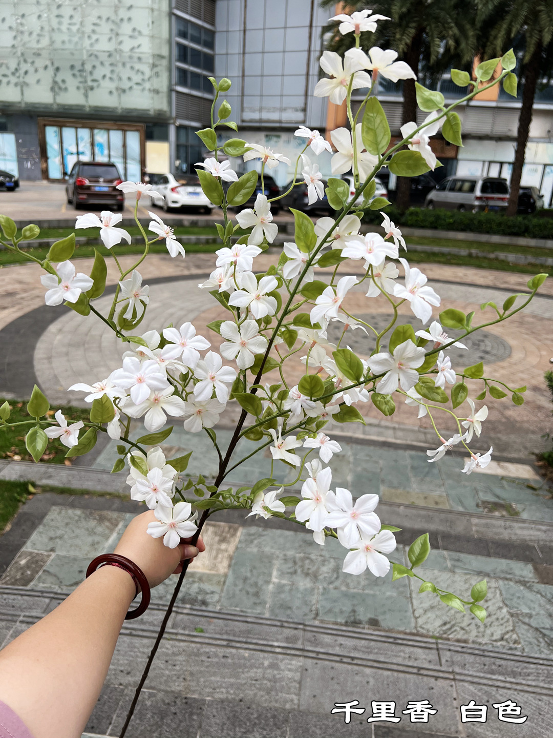 微信图片_20230416112304_副本