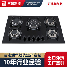 �������Q����������ȼ��������P䓚W�޿�Һ����Ƕ��ʽȼ����̨