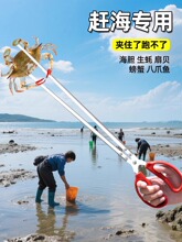 �s�������s���A�ӊA���X�~�A���q�з�Q���s�����Q�����A