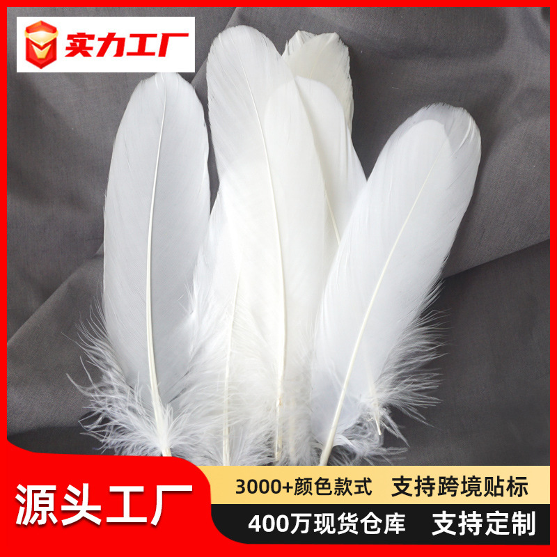 白色羽毛鹅毛硬飘捕梦网装饰翅膀太阳花墙饰幼儿园手工美术课材料