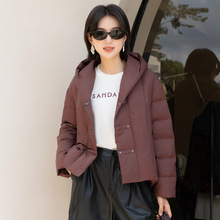 YUN�y�߼�����q��Ů����2026���¿�С���ӼӺ�90�����q�Bñ����