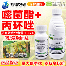 һ�����~�� 18.7%���h�׾����㽶���~�߲����h��������rș������