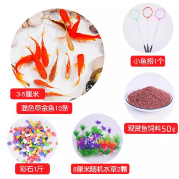 Wufu Linmen Package