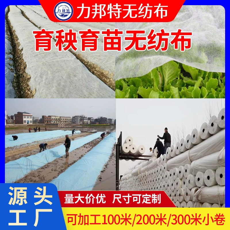 Рис для выращивания рассады нетканый материал производитель оптом для сельского хозяйства pp для разведения рассады