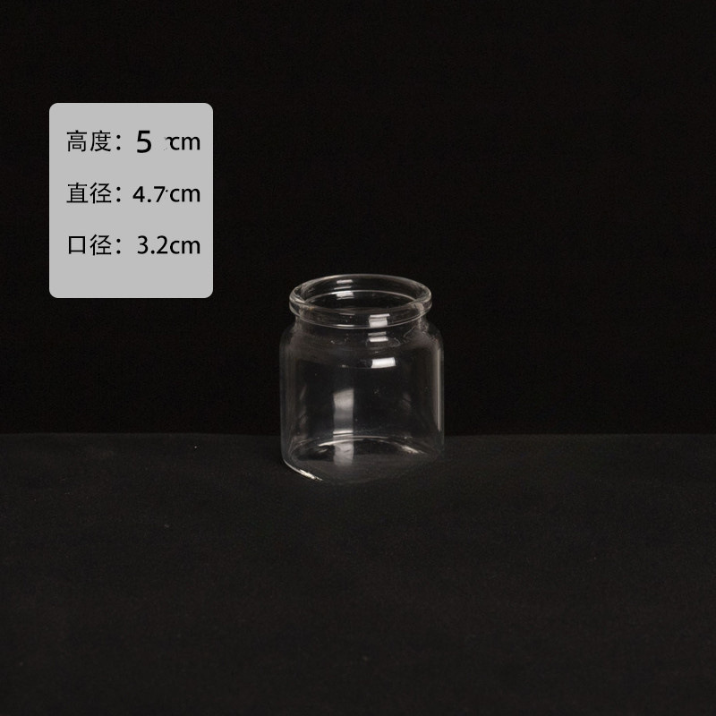 多肉小ガラス瓶透明仙人球植木鉢ミニ肉栽培植木鉢家庭用シンプルなミニバスケット|undefined