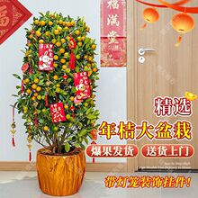 ��ۘ����Ԏ����͏d�҃ȴ���ֲ��С�����辰���B�����ؔ�Gֲ����