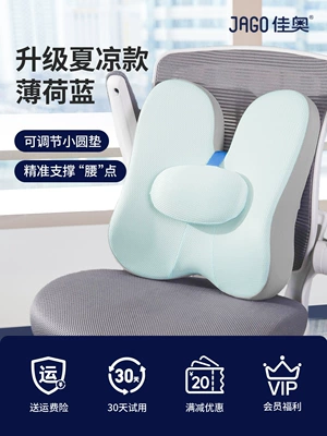 Waist support Lumbar Seat Back Cushion - summer-cool-style-mint-blue-regular