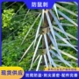 跨境电力定制不锈钢蛇