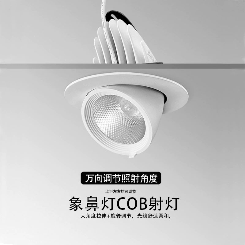 COB светильник в нос слона встроенный светодиодный прожектор скандинавский Домашний Светильник одиночный светильник потолочный светильник гостиная потолочный светильник для прохода