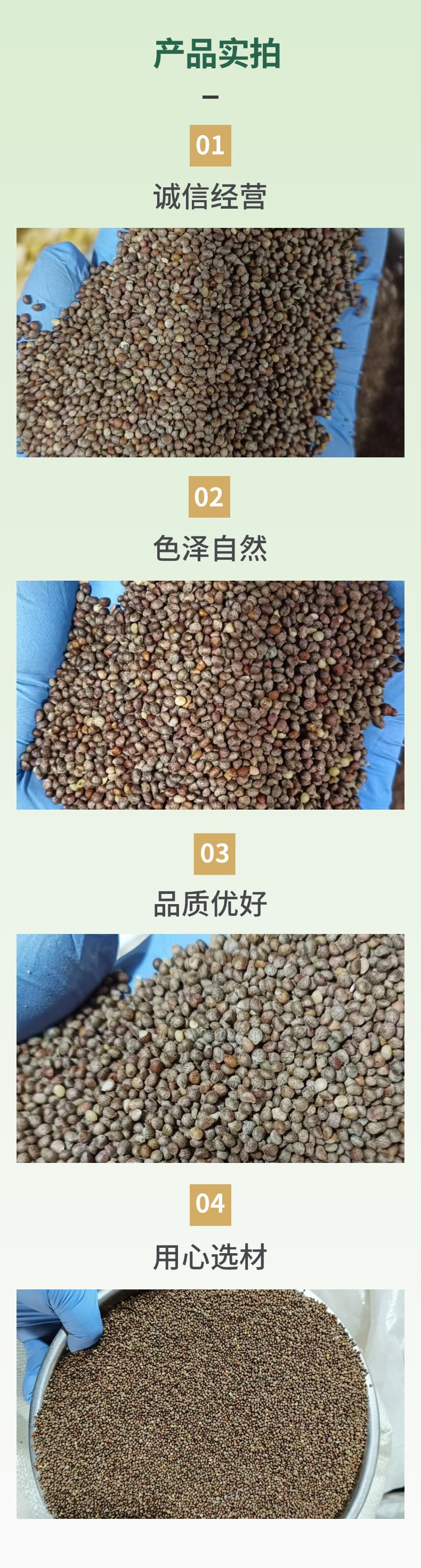 Northeast Fresh Perilla Seeds Zi Su Zi Edible Perilla Seed 500g Direct from Jilin specifications
