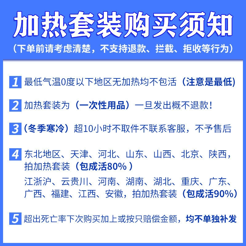 [杜比亚蟑螂昆虫爬宠活饵饲料新成体繁殖组半斤中国]