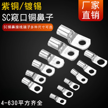 SC4-6SC10-8-SC95-8�~�ǸQ�ڱ�4-95ƽ���Rȫ�~���^����20ֻ����]