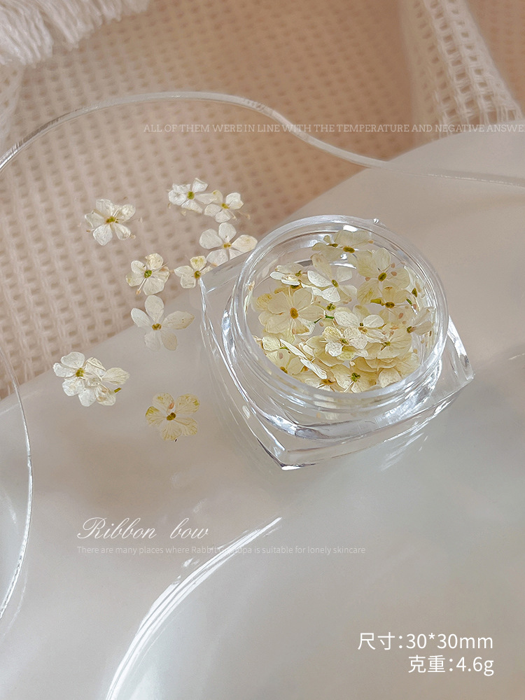 단일 베이지색 드라이 플라워#05