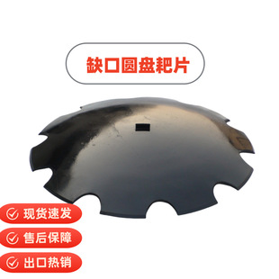 �r�C�������Ƭ��Ƭ�A�P��Ƭ65Mn���A�P���yƬ�A�P��ȱ�ڰ�Ƭ��Ƭ