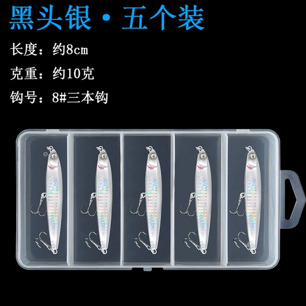 [新款黑头银10克【5个装】送盒]
