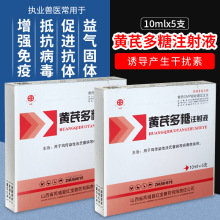 兽用黄芪多糖注射液兽药黄芪多糖针剂猪牛羊鸡稀释粉针抗病毒1号