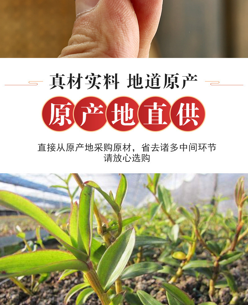 Tie Pi Shi Hu Dried Stems (Dendrobium officinale) — 5-Year Huoshan Feng Dou, 100g quality and texture