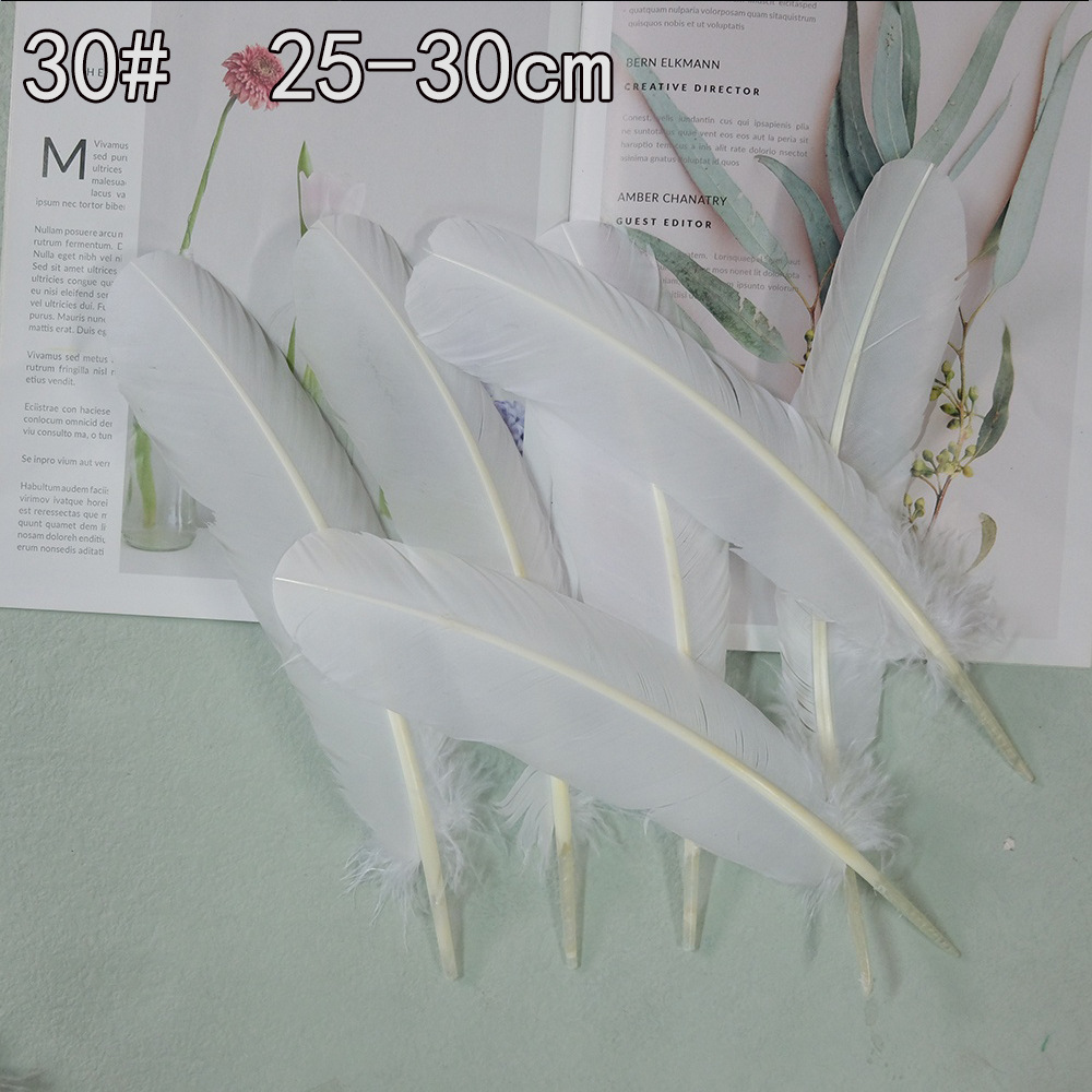 Colección de productos de plumas blancas al por mayor Accesorios de ropa de plumas hechos a mano de bricolaje Accesorios de plumas de ganso Material de plumas de pavo