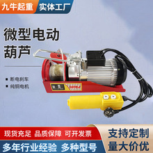 微型电动葫芦家用钢丝绳提升机小型起重机无线遥控220v装修小吊机