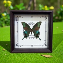 �羳������˱���� diy�͹����Ҿ��b�С�[�����նY��̌W����