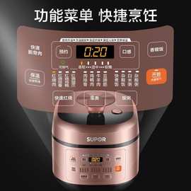 SY-50FC29Q 电压力锅 智能预约多功能家用球釜双胆设计 5升