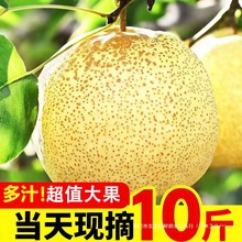 �Fժ�Xɽ�����r����10��ˮ���摪���Fժ���䰲���خa��ɽ������]