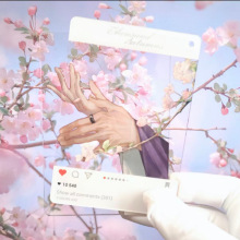 ������͸���������C��Ӱ���Մ��������L�������͸�������Ԫ��߅