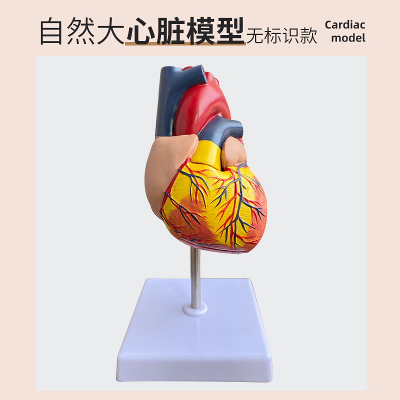 ��Ȼ���������ģ�� B���ʳ� ҽѧ ���������ѧ���ޱ�ʶ�